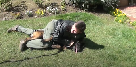 How to defend against an aggressive dog. Self defense lesson against dog attack