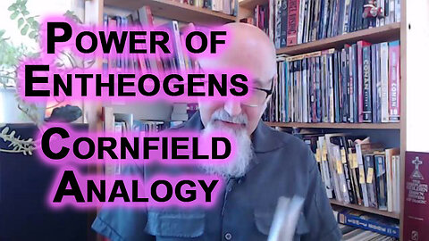 The Power of Entheogens Explained: The Cornfield Analogy, a Higher Perspective [SEE LINK]