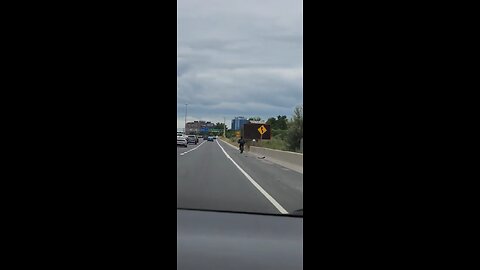 Man Riding Bike On Highway 401