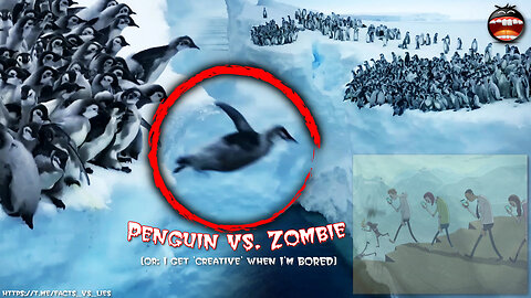 SIMILARITIES: The Suicide-Zombie-Penguin-Squad [Explanation: I was bored...]