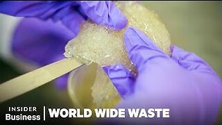 Can Indian Seaweed Replace Plastic? | World Wide Waste | Insider Business