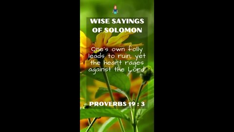 Proverbs 19:3 | NRSV Bible - Wise Sayings of Solomon