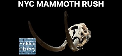 Hunt for mammoth bones worth millions of dollars in New York river after Joe Rogan revelation