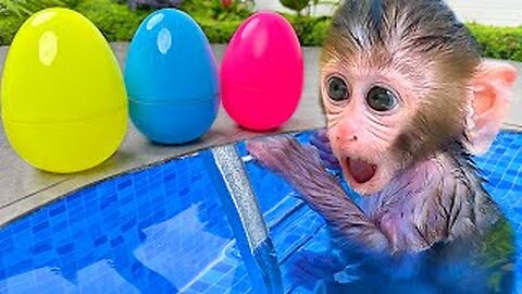 Baby monkey bon bon open surprise eggs by the pool and eats watermelon with puppy and duckling