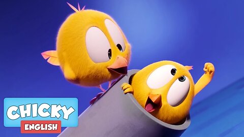 Where's Chicky? Funny Chicky 2020 | THE CANNON | Chicky Cartoon in English for Kids