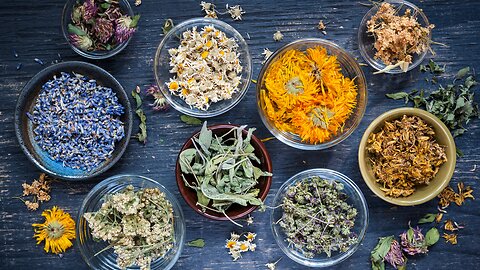 Create a Herbal Sanctuary - The Last Guide You NEED for Growing Herbs, Cannabis, Microgreens & More