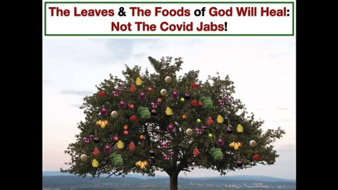 The Leaves & The Foods of God Will Heal: Not The Covid Jabs!