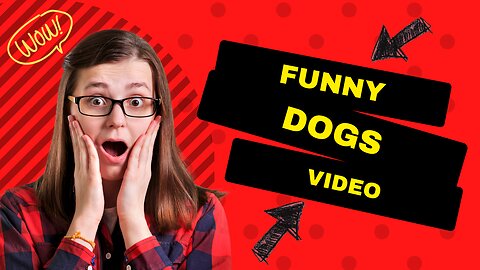 Funny Dogs Video