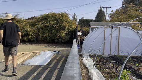 I Saved a Hummingbird | Winter GreenHouse Setup