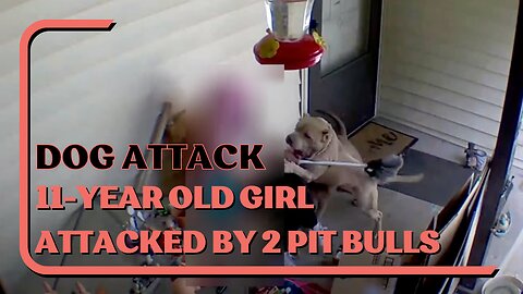 Dog Attack: Brave 11-Year Old Girl Remains Calm When Attacked By 2 Pit Bulls, Survive A Dog Attack