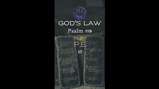 GOD'S LAW - Psalm 119 - 17 - The psalmist keeps God's law #shorts