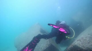 Diving in Rocky Point