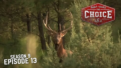 Bugling Frenzy in New Mexico - The Choice (Full Episode) // S9: Episode 13