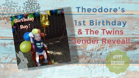 Theodore 1st birthday & Twins GENDER REVEAL