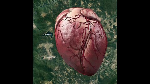 Сърцето на Родопите е и сърцето на планетата