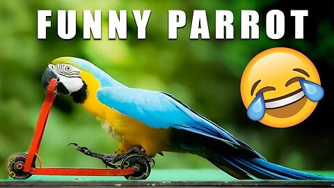 TOP Smart And Funny Parrots 😂| BEST Parrot Talking Videos Compilation