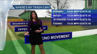 Brittney's Forecast