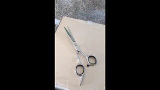 Angolbiz Hair Cutting Stainless Scissors