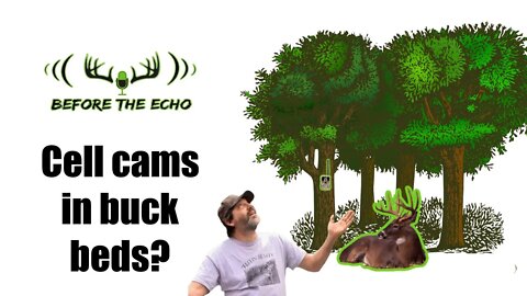 Should you put a cell cam in a buck bed?
