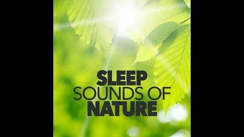 Enchanting Nature Sounds. Sleep. Relax. 💤🌿🌍