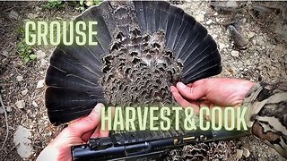 Grouse Hunting - Harvest & Cook - Marksman's Creed - Ep. 13