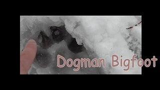 My Bigfoot Story Ep. 224 - Dogman & Bigfoot I Found Them Both