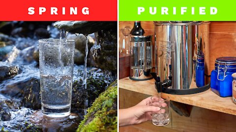 Purified vs. Spring Water: What's the Difference and Which Is Better?