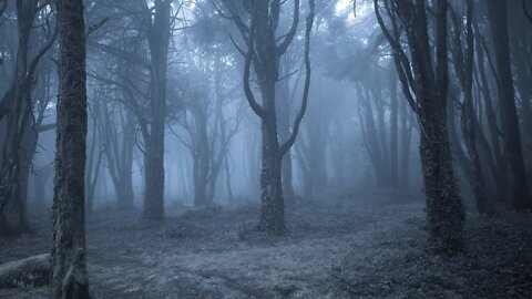 Dark Winter Music – Forest of Cold Mist | Spooky, Magical, Haunted