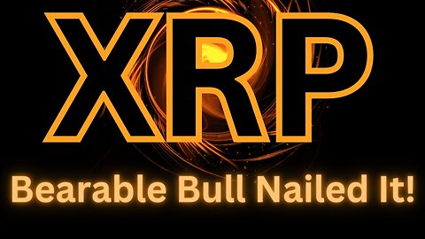 The Bearable Bull just did one of the best videos ever for the XRP community - XRP Crypto News