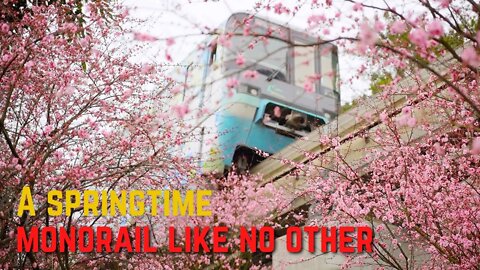 A Springtime Monorail Like No Other!