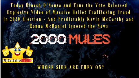Today Dinesh D’Souza and True the Vote Released Explosive Video of Massive Ballot Trafficking Fraud