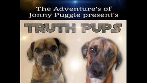 Truth Pups - White Hat Military Operations