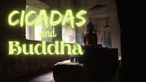 Cicadas and Buddha | Cicadas Series | Ambient Sound | What Else Is There?