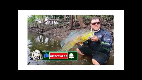 pesca tucunare azul pescaria