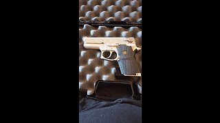 Smith and Wesson model number 669