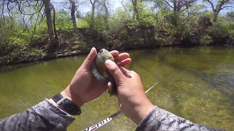 Early April Creek Fishing