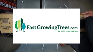 FastGrowingTrees.com unboxing Thuja Green Giant trees