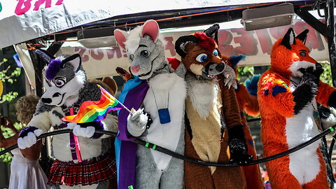 No worries, we're Furries... Destiny 2 Pride DLC (tenative Afternoon)