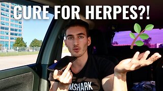 Can HERPES be cured?