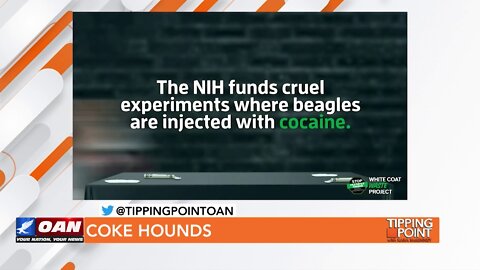 Tipping Point - Anthony Bellotti - Coke Hounds