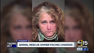 Animal rescue owner facing charges