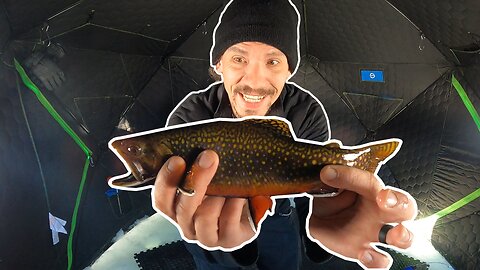 Ice Fishing for Aggressive Colorado Brook Trout in Super Shallow Water!