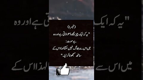 Hatim Taai Kay Chaar ilam 💯🚶💥 #ytshorts #islamicquotes #motivation #trending