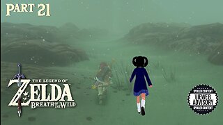 [Legend of Zelda: Breath of the Wild - Part 21] My Final Grievances...