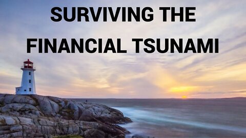 Surviving The Financial Tsunami