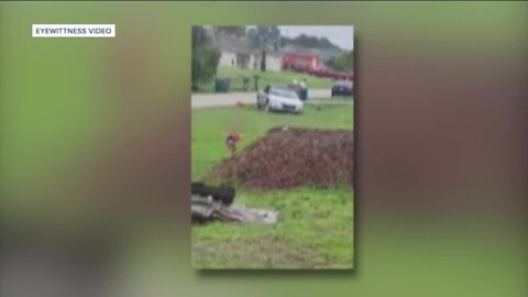 Shocking video captures toddler wandering neighborhood streets alone in Cape Coral