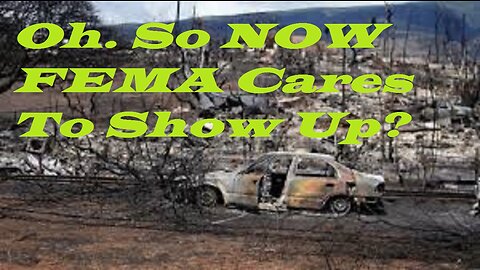 FEMA Response Time to East Palestine, Ohio = 15 Days -- FEMA to Sunny Hawaii: Next Day- Coincidence?