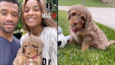 Russell & Ciara Receive Backlash For Buying A Bred Dog Instead Of Adopting! 🤷🏾‍♂️