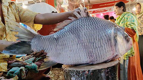 Incredible 17kg Giant Catla Fish Cutting Skills Live In BD Fish Market । Katla Fish Cutting