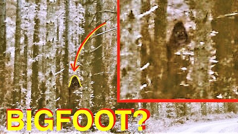*NEW* Bigfoot EVIDENCE